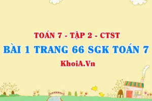 Bài 1 trang 66 SGK Toán 7 Tập 2 Chân trời sáng tạo